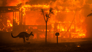 Fires in Australia